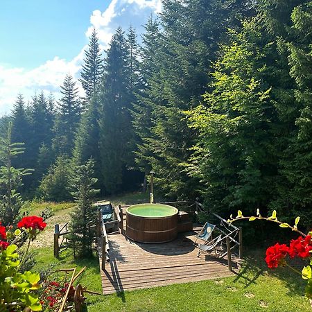 Lesna Bacowka Villa Нови Тарг Екстериор снимка