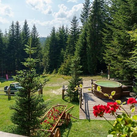 Lesna Bacowka Villa Нови Тарг Екстериор снимка