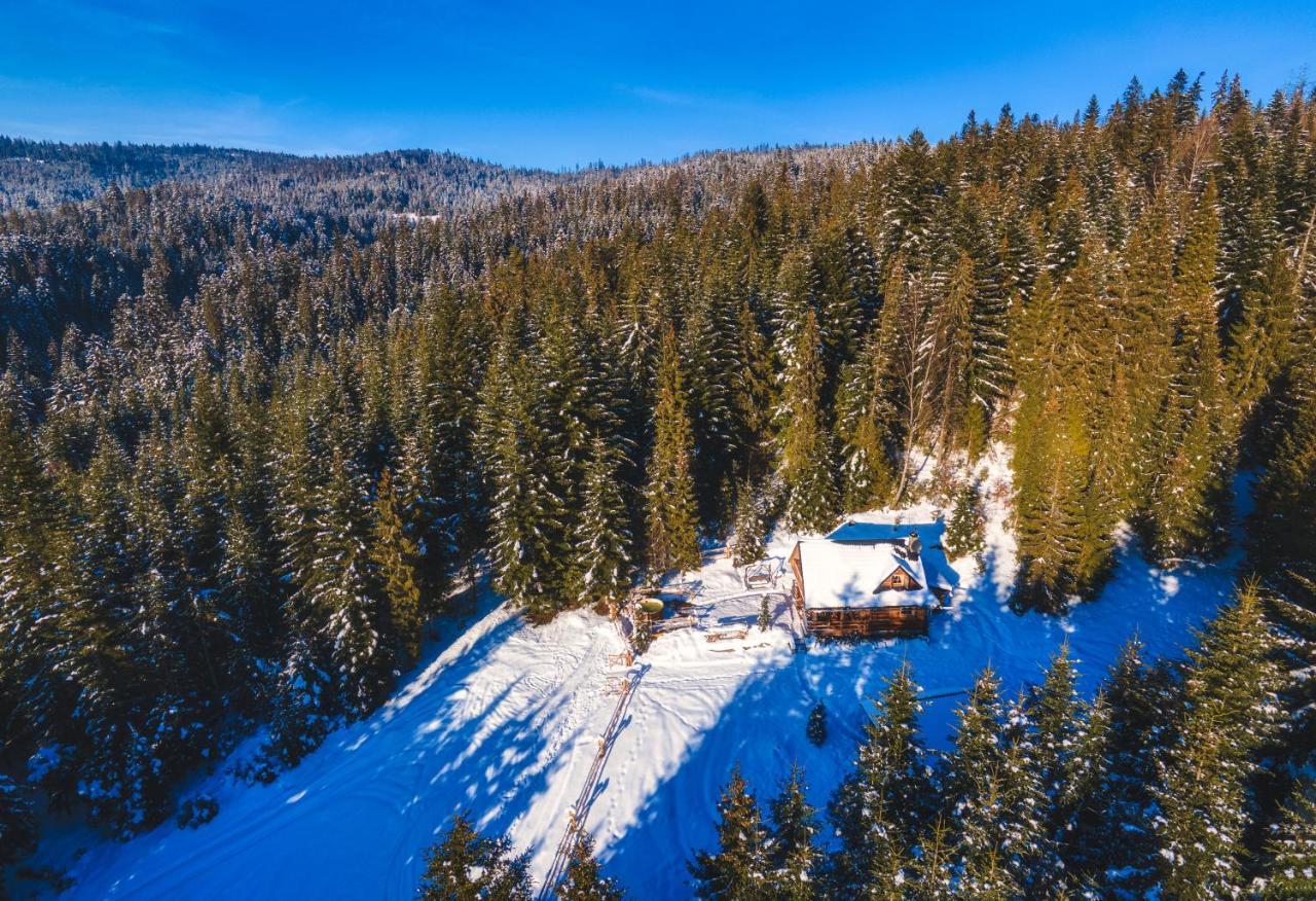 Lesna Bacowka Villa Нови Тарг Екстериор снимка