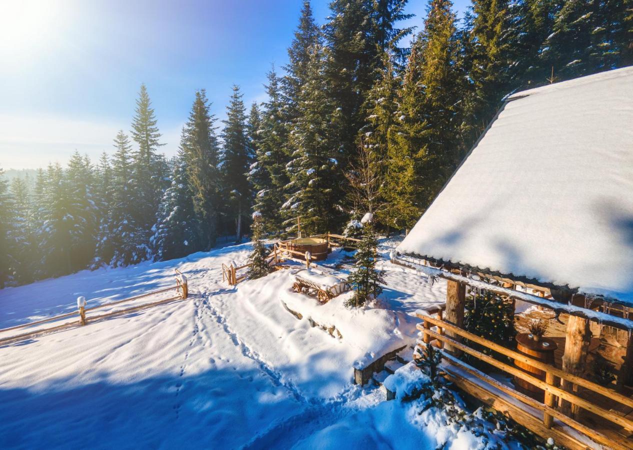 Lesna Bacowka Villa Нови Тарг Екстериор снимка