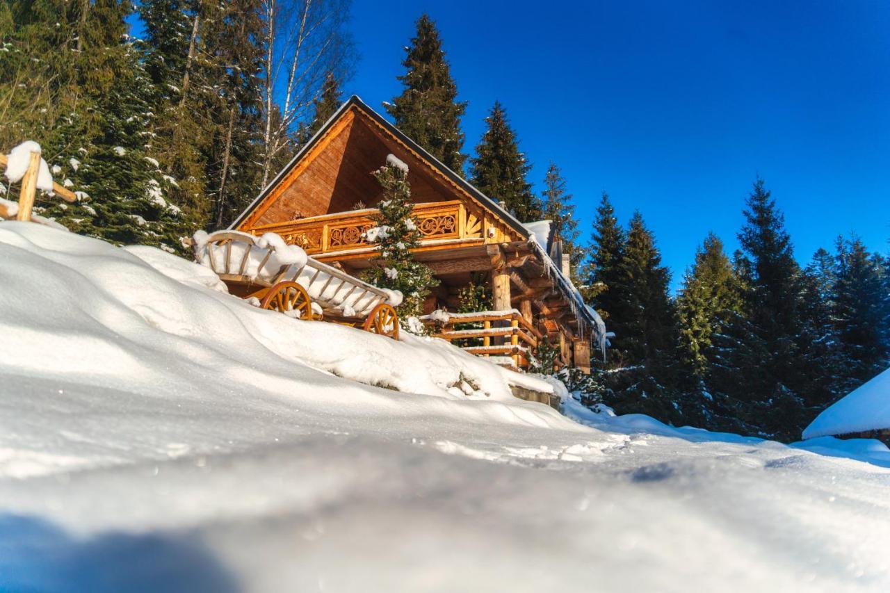 Lesna Bacowka Villa Нови Тарг Екстериор снимка