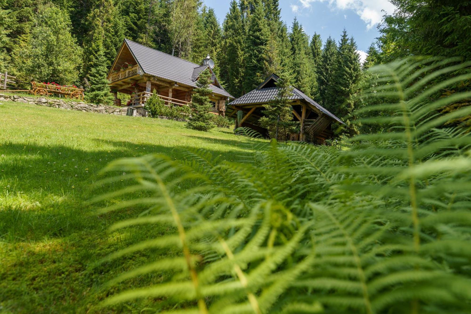 Lesna Bacowka Villa Нови Тарг Екстериор снимка