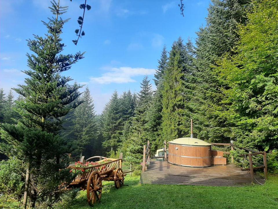 Lesna Bacowka Villa Нови Тарг Екстериор снимка