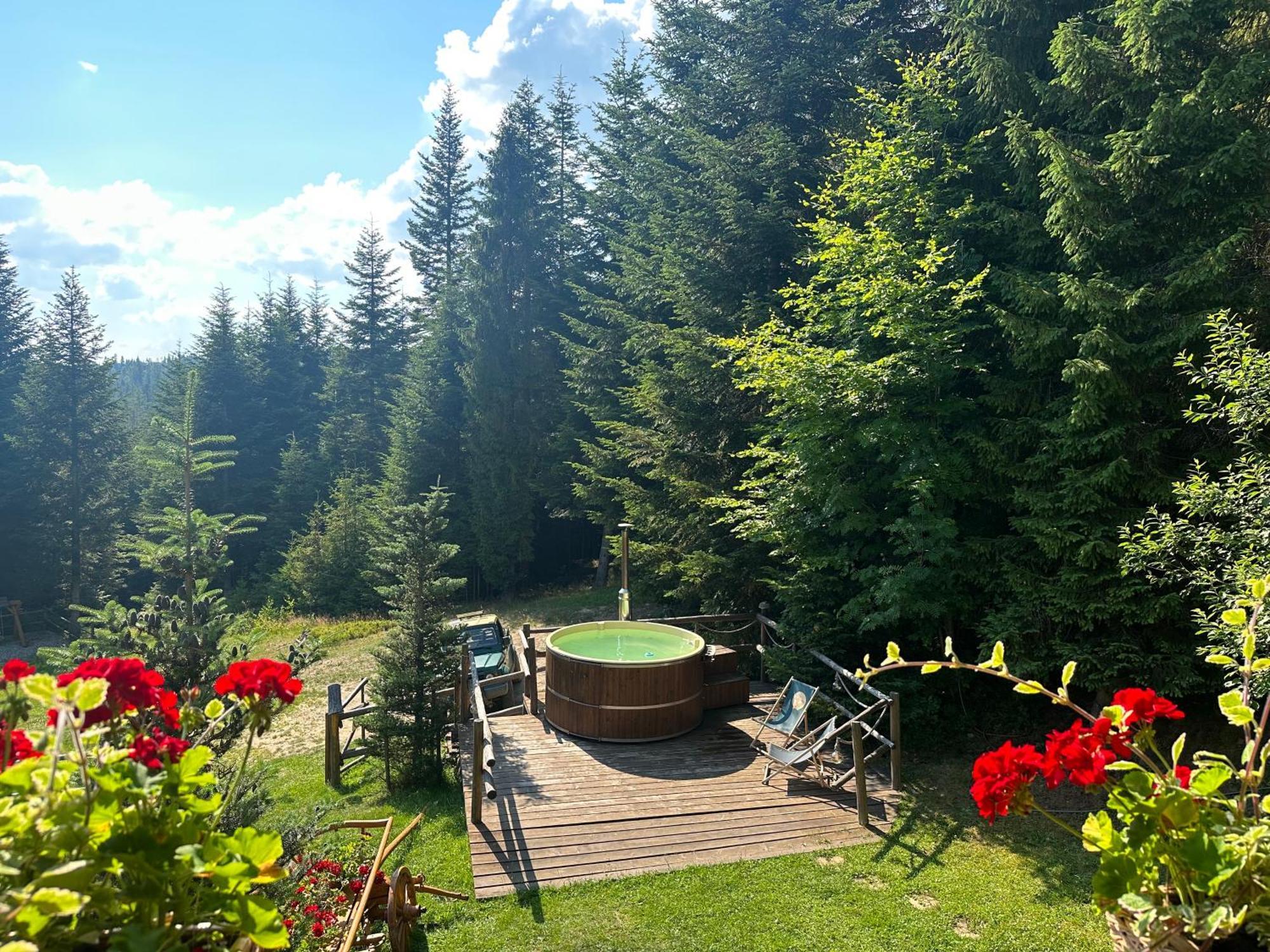 Lesna Bacowka Villa Нови Тарг Екстериор снимка