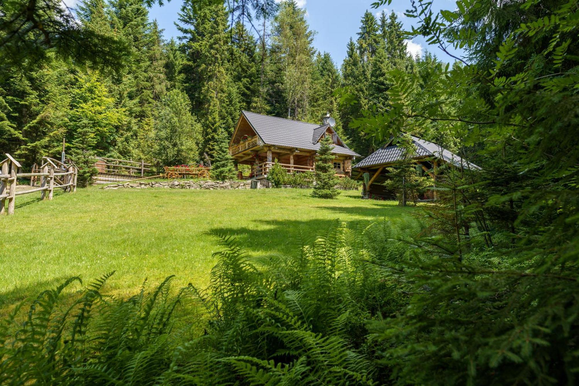 Lesna Bacowka Villa Нови Тарг Екстериор снимка