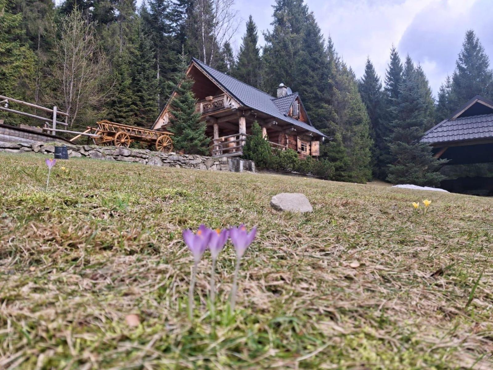 Lesna Bacowka Villa Нови Тарг Екстериор снимка