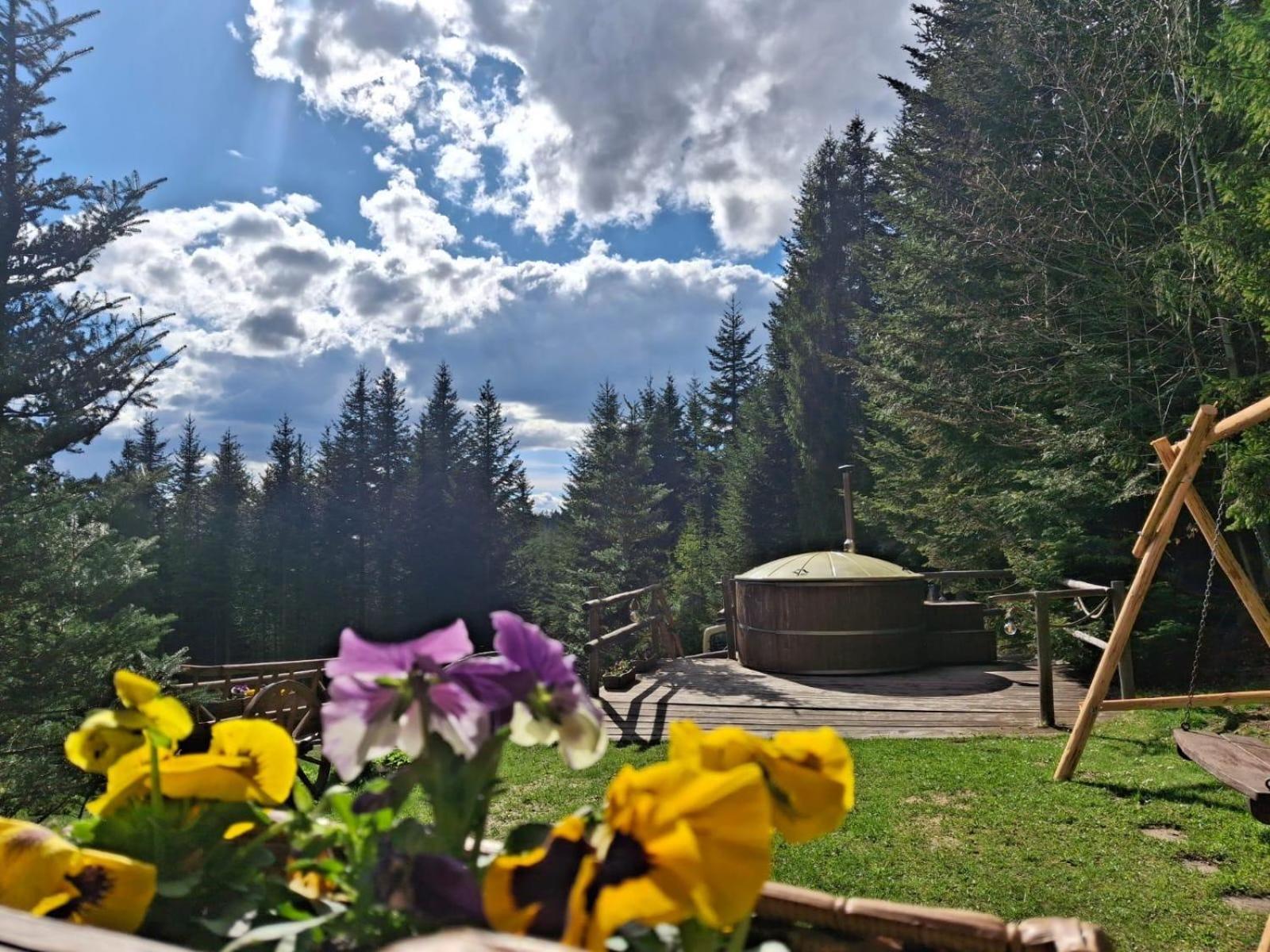 Lesna Bacowka Villa Нови Тарг Екстериор снимка